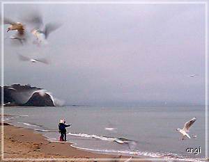 M&ouml;wen - Ankunft in Baabe